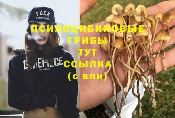 apvp Алексеевка