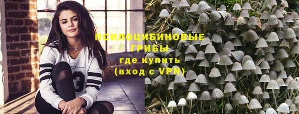 apvp Алексеевка