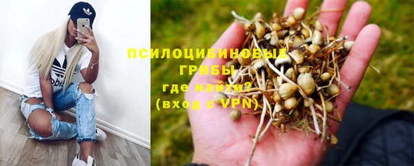 ПСИЛОЦИБИНОВЫЕ ГРИБЫ Алексин