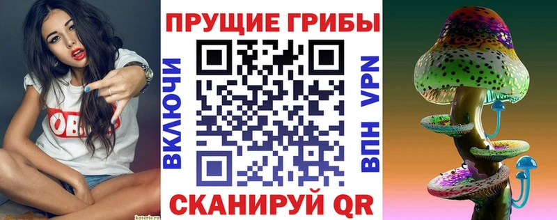 купить   Армянск  Галлюциногенные грибы Magic Shrooms 